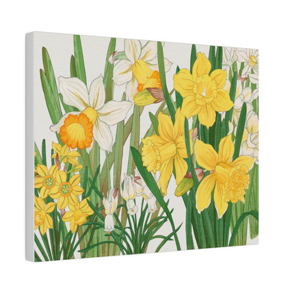 Golden Daffodils by Tanigami Kônan – Japanese Botanical Grace