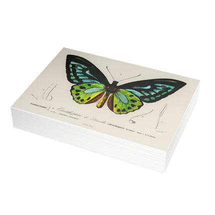 Green Birdwing by Charles Dessalines D' Orbigny Postcards (envelopes included) - Bundles of 10, 30, 50 Pieces