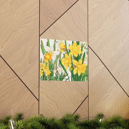 Daffodil by Tanigami Kônan Premium Matte horizontal posters