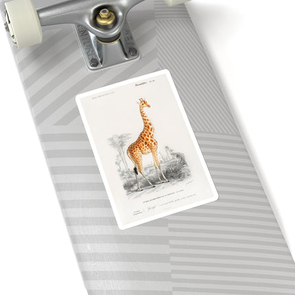 Giraffe by Charles Dessalines D' Orbigny Kiss-Cut Stickers (4 Sizes)