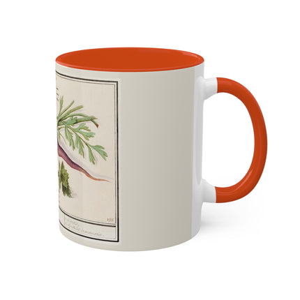 Carrot, Daucus Carota and Red currant, Ribes rubrum by Anselmus Boëtius de Boodt Colorful Mugs, 11oz