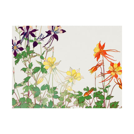 Aquilegia Flower by Tanigami Kônan Premium Matte horizontal posters