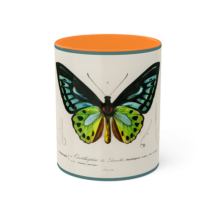 Green Birdwing by Charles Dessalines D' Orbigny Colorful Mugs, 11oz