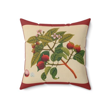 Album of watercolors of Asian fruits and flowers Pl.17 by Anonymous Spun Polyester Square Pillow
