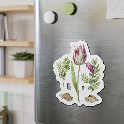 Tulip, Branches of Myrtle, and Shells by Maria Sibylla Merian Die-Cut Magnets (5 Sizes)