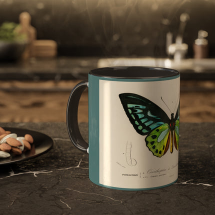 Green Birdwing by Charles Dessalines D' Orbigny Colorful Mugs, 11oz