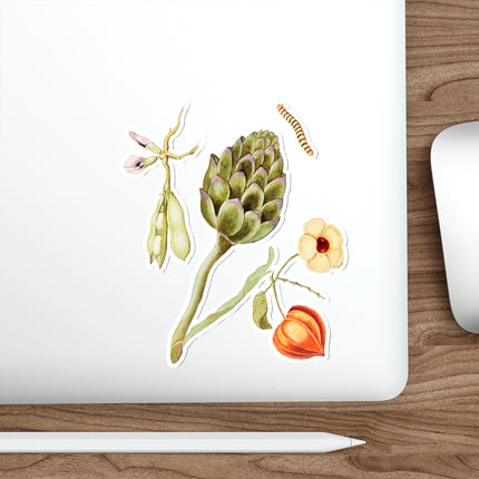 Artichoke, Cynara scolymus, broad beans, Vicia faba and lampion plant, Physalis by Anselmus Boëtius de Boodt Die-Cut Stickers (5 Sizes)
