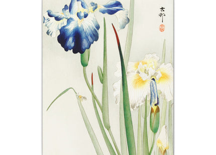 Irises by Ohara Koson Matte Canvas, Stretched, 0.75"