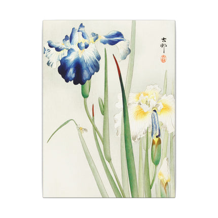 Irises in Bloom by Ohara Koson – Japanese Elegance