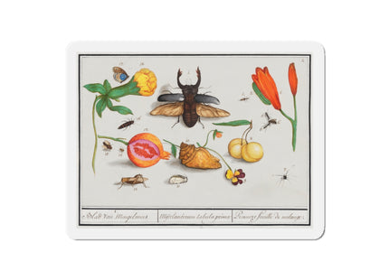 Natural History Ensemble, No. 1 Die-Cut Magnets (5 Sizes)