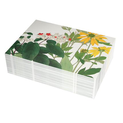 Clerodendrum & Rudbeckia by Tanigami Kônan Postcards (envelopes included) - Bundles of 10, 30, 50 Pieces