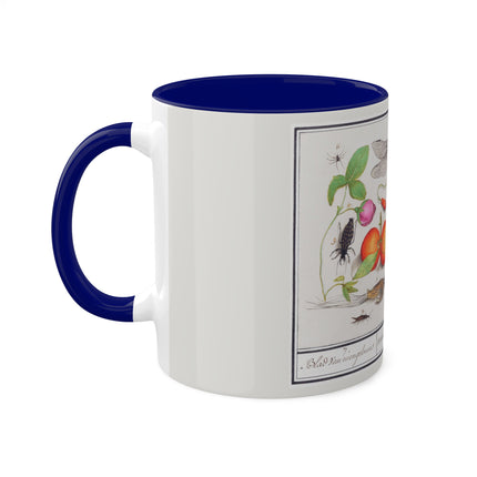 Natural History Ensemble, No. 7 by Anselmus Boëtius de Boodt Colorful Mugs, 11oz