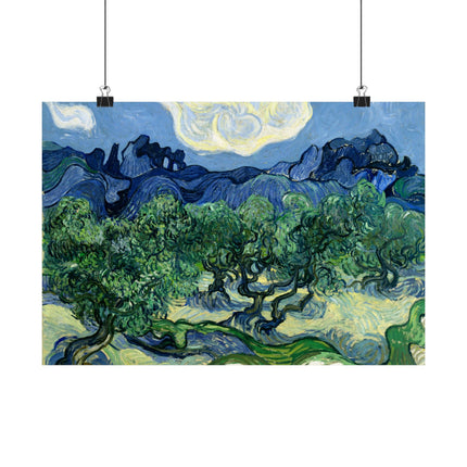 Olive Trees by Vincent Van Gogh Matte Horizontal Posters