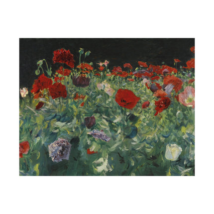Poppies (A Study of Poppies for Carnation, Lily, Lily, Rose) by John Singer Sargent Matte Horizontal Posters