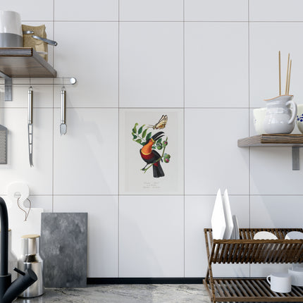 Channel Billed Toucan by Paul Gervais Ceramic Tile