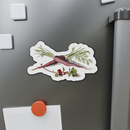 Carrot, Daucus carota and red currant, Ribes rubrum by Anselmus Boëtius de Boodt Die-Cut Magnets (5 Sizes)