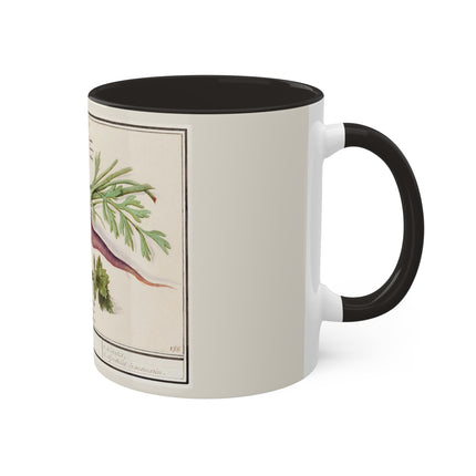 Carrot, Daucus Carota and Red currant, Ribes rubrum by Anselmus Boëtius de Boodt Colorful Mugs, 11oz
