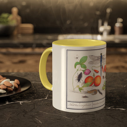 Natural History Ensemble, No. 7 by Anselmus Boëtius de Boodt Colorful Mugs, 11oz