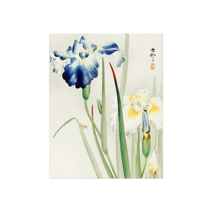 Irises by Ohara Koson Fine Art Posters