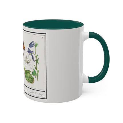Natural History Ensemble, No. 17 by Anselmus Boëtius de Boodt Colorful Mugs, 11oz