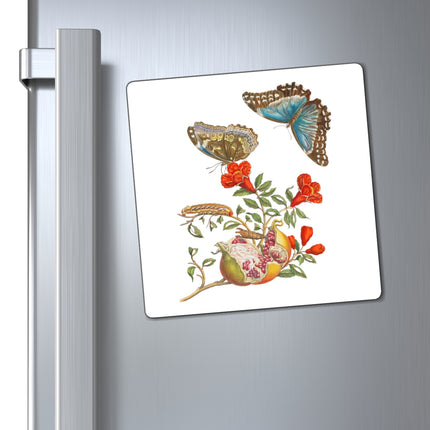 Blue Butterflies and Pomegranate by Maria Sibylla Merian Magnets (3 Sizes)