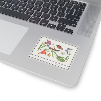 Natural History Ensemble, No. 17 by Anselmus Boëtius de Boodt Kiss-Cut Stickers (4 Sizes)