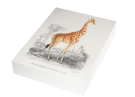 Giraffe by Charles Dessalines D'Orbigny Postcards (envelopes included) - Bundles of 10, 30, 50 Pieces