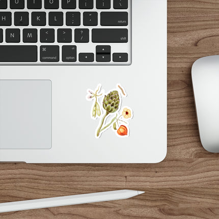 Artichoke, Cynara scolymus, broad beans, Vicia faba and lampion plant, Physalis by Anselmus Boëtius de Boodt Die-Cut Stickers (5 Sizes)