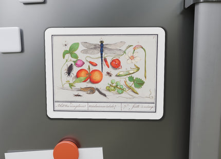 Natural History Ensemble, No. 7 Die-Cut Magnets (5 Sizes)