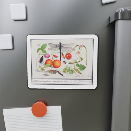 Natural History Ensemble, No. 7 Die-Cut Magnets (5 Sizes)