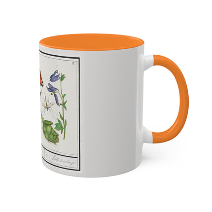 Natural History Ensemble, No. 17 by Anselmus Boëtius de Boodt Colorful Mugs, 11oz