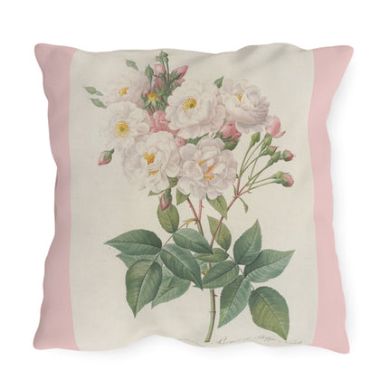 Rosa Noisettiana by Pierre Joseph Redouté  Outdoor Pillows