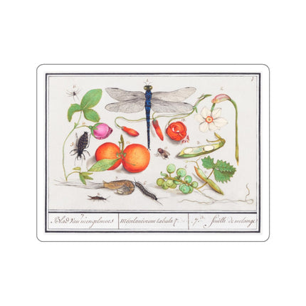 Natural History Ensemble, No. 7 by Anselmus Boëtius de Boodt Kiss-Cut Stickers (4 Sizes)