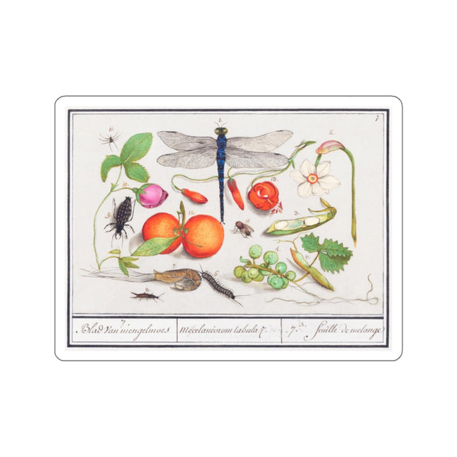 Natural History Ensemble, No. 7 by Anselmus Boëtius de Boodt Kiss-Cut Stickers (4 Sizes)
