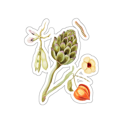 Artichoke, Cynara scolymus, broad beans, Vicia faba and lampion plant, Physalis by Anselmus Boëtius de Boodt Die-Cut Stickers (5 Sizes)
