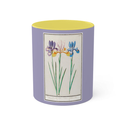 Iris, Iris sibirica by Anselmus Boëtius de Boodt Colorful Mugs, 11oz