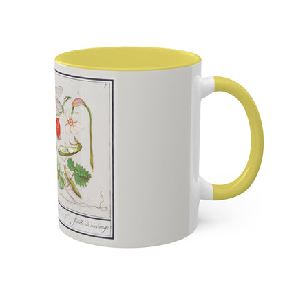 Natural History Ensemble, No. 7 by Anselmus Boëtius de Boodt Colorful Mugs, 11oz