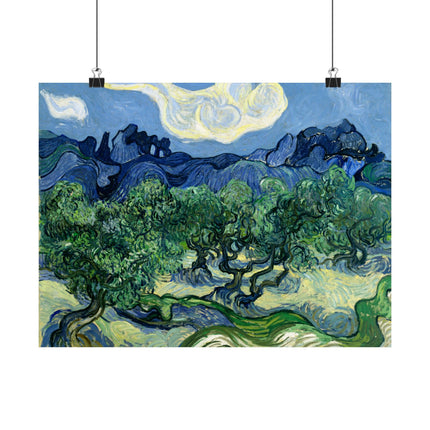Olive Trees by Vincent Van Gogh Matte Horizontal Posters