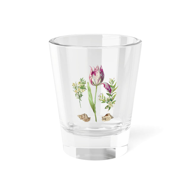 Tulip, Branches of Myrtle, and Shells by Maria Sibylla Merian Shot Glass, 1.5oz