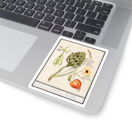 Artichoke, Cynara scolymus, broad beans, Vicia faba and lampion plant, Physalis by Anselmus Boëtius de Boodt Kiss-Cut Stickers (4 Sizes)