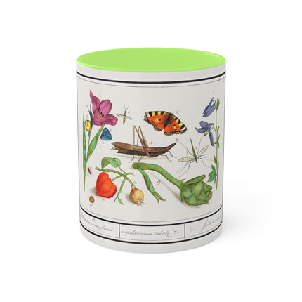 Natural History Ensemble, No. 17 by Anselmus Boëtius de Boodt Colorful Mugs, 11oz