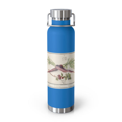 Carrot, Daucus carota and red currant, Ribes rubrum by Anselmus Boëtius de Boodt Copper Vacuum Insulated Bottle, 22oz