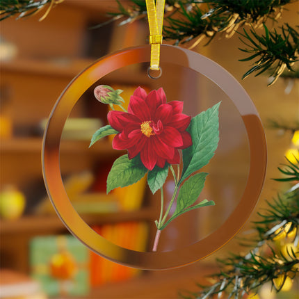Dahlia botanical illustration by Pierre-Joseph Redouté Glass Ornament