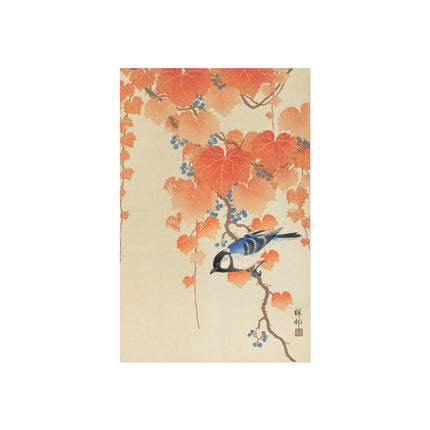 Great Tit on Paulownia Branch by Ohara Koson  Fine Art Posters