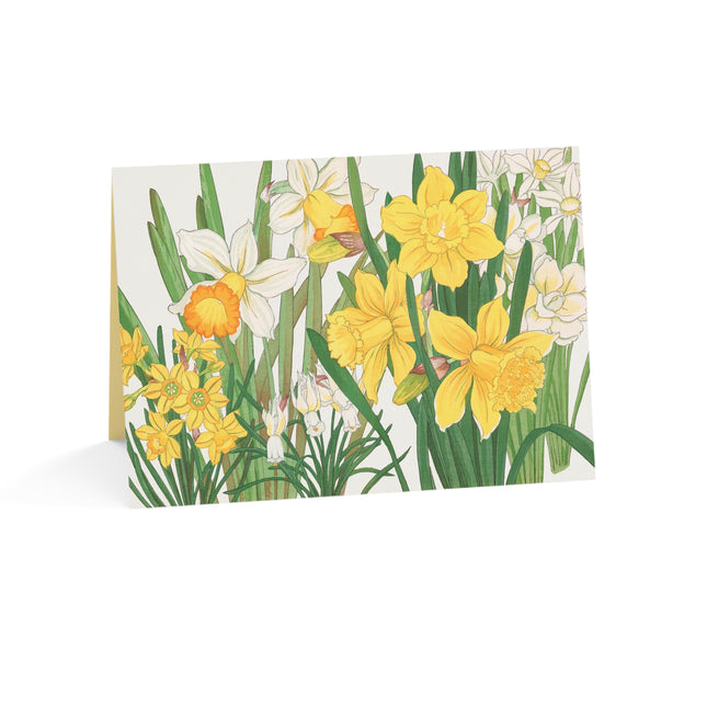 Daffodil by Tanigami Kônan Greeting Cards (1, 10, 30, and 50pcs)