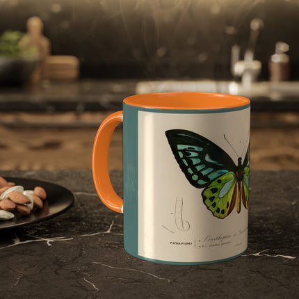 Green Birdwing by Charles Dessalines D' Orbigny Colorful Mugs, 11oz