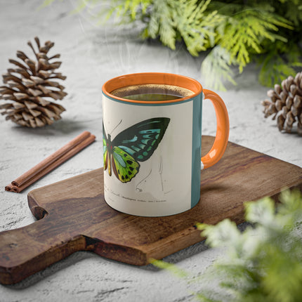 Green Birdwing by Charles Dessalines D' Orbigny Colorful Mugs, 11oz