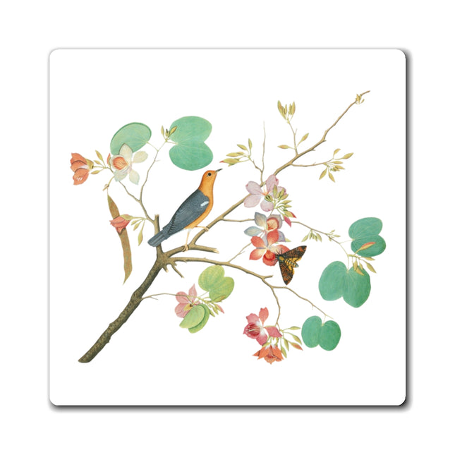 Orange-Headed Ground Thrush by Shaikh Zain al–Din Magnet (3 Sizes)