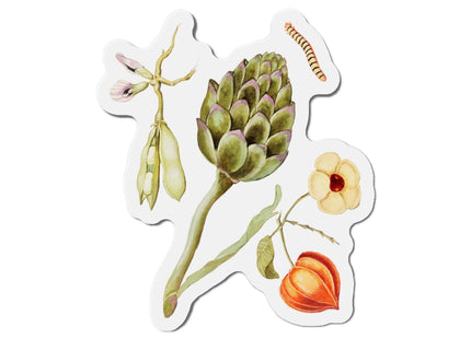 Artichoke, Broad Beans, and Lantern Plant by Anselmus Boëtius de Boodt Die-Cut Magnets (5 Sizes)
