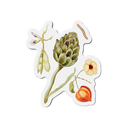 Artichoke, Broad Beans, and Lantern Plant by Anselmus Boëtius de Boodt Die-Cut Magnets (5 Sizes)